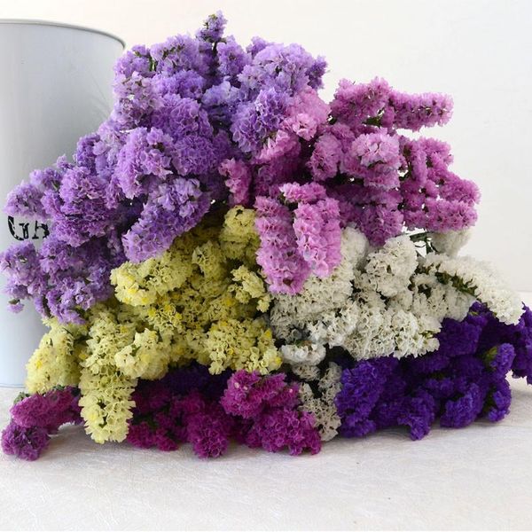 decorative flowers & wreaths 20pcs mixed color dried forget-me-not flower bunch natural plants christmas wedding decoration
decorative flowers & wreaths 20pcs mixed color dried forget-me-not flower bunch natural plants christmas wedding decoration