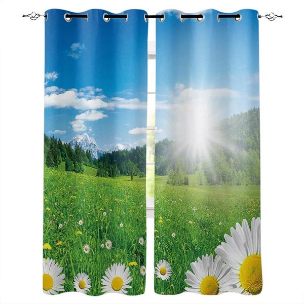 flower morning daisy blossoms window curtains for living room bedroom kitchen modern home decoration drapes blinds curtain &
flower morning daisy blossoms window curtains for living room bedroom kitchen modern home decoration drapes blinds curtain &