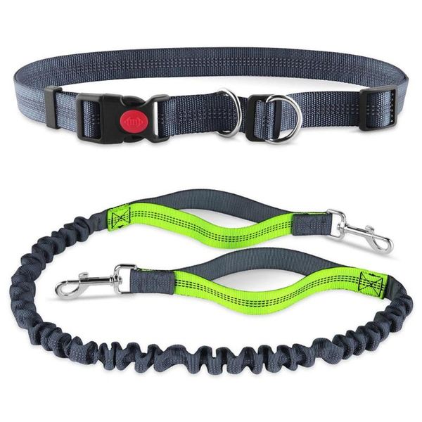 dog collars & leashes retractable pet leash nylon puppy cat traction rope belt reflective for small medium dogs jogging
dog collars & leashes retractable pet leash nylon puppy cat traction rope belt reflective for small medium dogs jogging