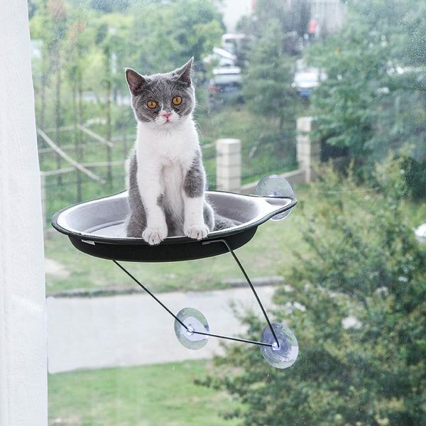 cat beds & furniture hammock bed mount window sunny seat pet hanging climbing sleeping lounger cats shelf cage supplies for kat
cat beds & furniture hammock bed mount window sunny seat pet hanging climbing sleeping lounger cats shelf cage supplies for kat