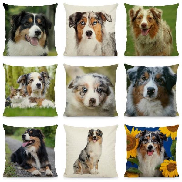 cushion cover 45x45cm australian shepherd pillow case home decoration dog pattern sofa car chair decor dwg045 cushion/decorative
cushion cover 45x45cm australian shepherd pillow case home decoration dog pattern sofa car chair decor dwg045 cushion/decorative