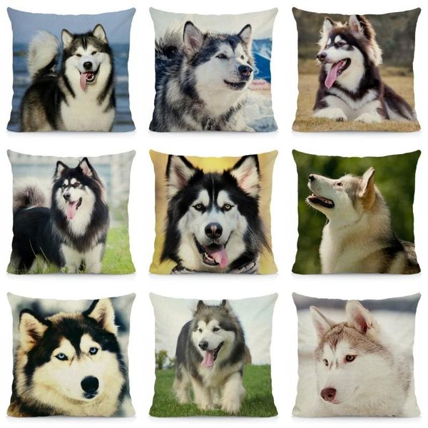 cushion cover 45x45 alaskan malamute pillow case home decoration dog pattern sofa decor dwg044 cushion/decorative
cushion cover 45x45 alaskan malamute pillow case home decoration dog pattern sofa decor dwg044 cushion/decorative