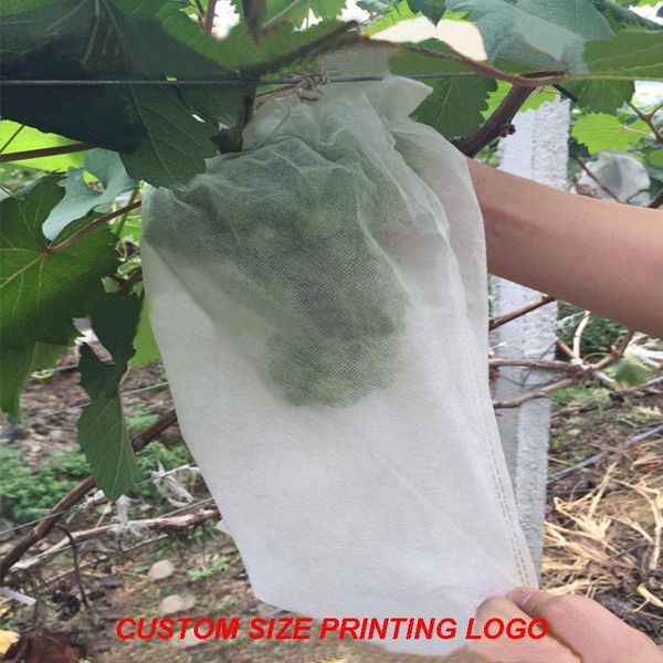 planters & pots 100 pcs grape protection bags for fruit vegetable grapes mesh bag bird-proof waterproof and insect-proof special 2021
planters & pots 100 pcs grape protection bags for fruit vegetable grapes mesh bag bird-proof waterproof and insect-proof special 2021