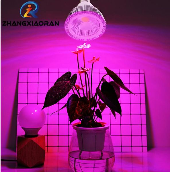grow lights cree cxa2590 e27 full spectrum led light lamp for indoor tent plant growth hydroponics lighting veg bloom
grow lights cree cxa2590 e27 full spectrum led light lamp for indoor tent plant growth hydroponics lighting veg bloom