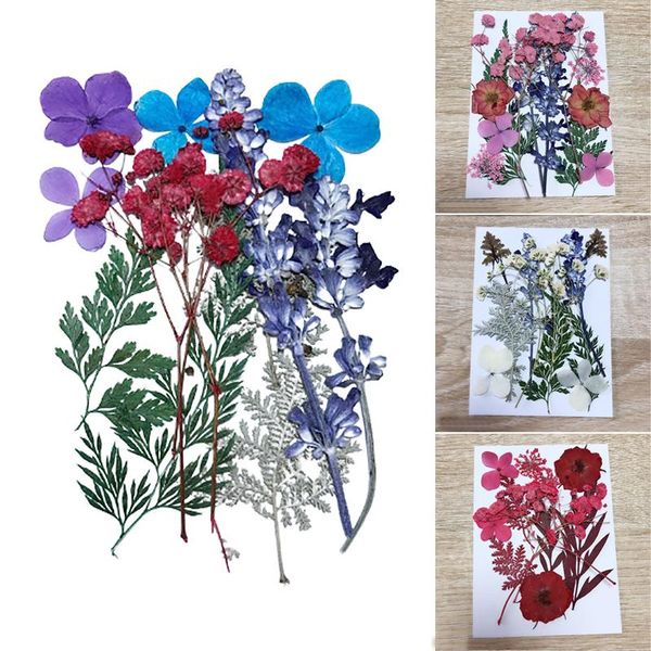 decorative flowers & wreaths 'the ' pressed flower mixed dried material for diy candles greeting card epoxy craft earrings
decorative flowers & wreaths 'the ' pressed flower mixed dried material for diy candles greeting card epoxy craft earrings