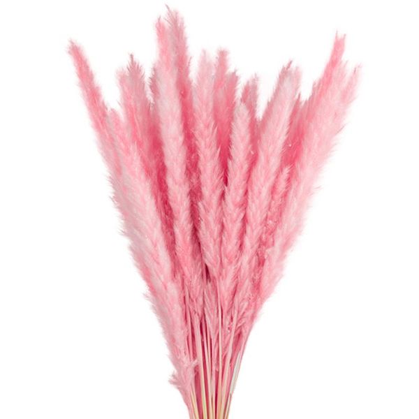 20pcs wedding flower bunch natural dried small pampas dark pink for home decor decorative flowers & wreaths
20pcs wedding flower bunch natural dried small pampas dark pink for home decor decorative flowers & wreaths