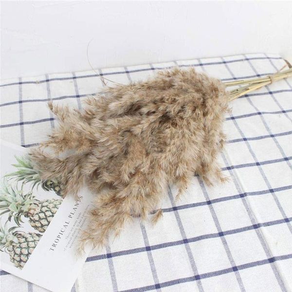 decorative flowers & wreaths 1pc plume 55cm wedding pampas grass bouquet dried home decoration christmas flower bunch natural plants
decorative flowers & wreaths 1pc plume 55cm wedding pampas grass bouquet dried home decoration christmas flower bunch natural plants