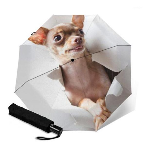 umbrellas creative lovely dog auto 3 folding umbrella compact protection rain sun paraguas parasol accept customized design1
umbrellas creative lovely dog auto 3 folding umbrella compact protection rain sun paraguas parasol accept customized design1