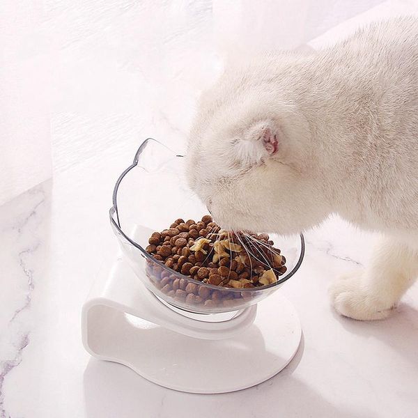 cat feeding bowl dogs feeders bowls with raised stand for cats double pet and water supplies &
cat feeding bowl dogs feeders bowls with raised stand for cats double pet and water supplies &