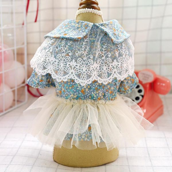 dog apparel pet clothes spring and summer lace oil painting floral princess cute flower skirt small
dog apparel pet clothes spring and summer lace oil painting floral princess cute flower skirt small