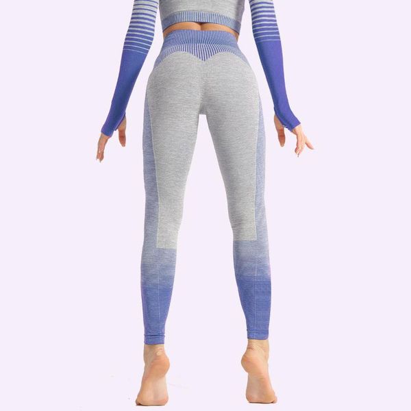 fitness leggins compress seamless leggings secrets women's sports high waist compression tights sportswear yoga outfit
fitness leggins compress seamless leggings secrets women's sports high waist compression tights sportswear yoga outfit