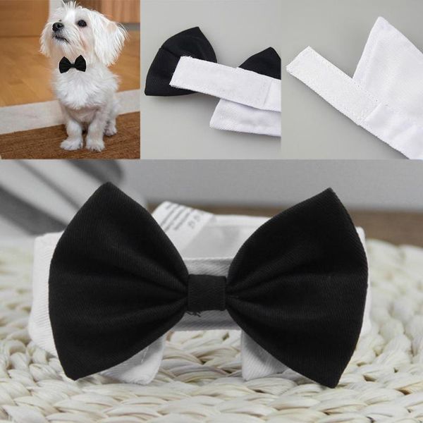 dog apparel cat pet tie puppy toy bow necktie clothes british black kitten handsome for festival decor
dog apparel cat pet tie puppy toy bow necktie clothes british black kitten handsome for festival decor