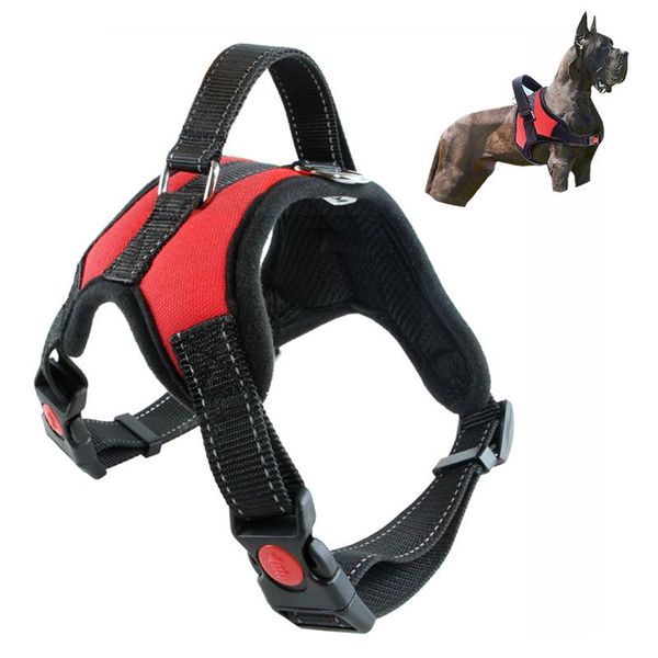 dog collars & leashes vest breathable cushion harness reflective nylon pet leash supplies adjustable accessories for small and large
dog collars & leashes vest breathable cushion harness reflective nylon pet leash supplies adjustable accessories for small and large