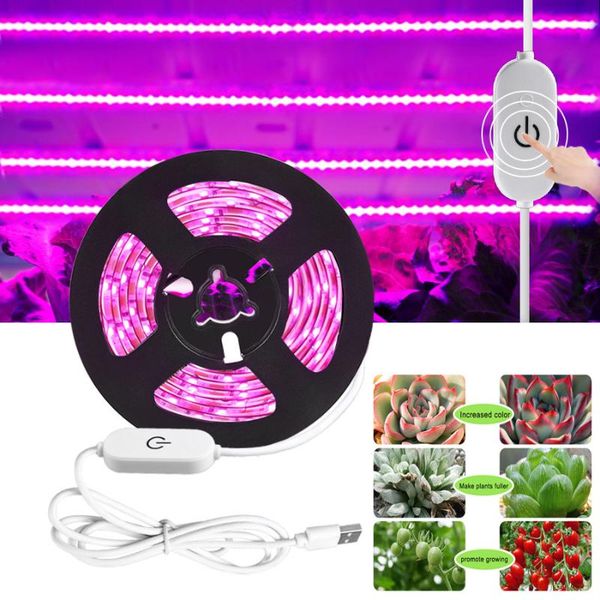 0.5m - 3m 5v usb grow light strip with touch sensor switch led full spectrum 2835 phyto lamp for plants tent lights
0.5m - 3m 5v usb grow light strip with touch sensor switch led full spectrum 2835 phyto lamp for plants tent lights
