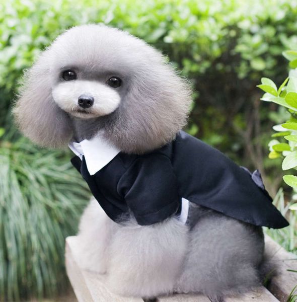 the dog clothes spring and summer cat dog pet clothing lovers black suit wedding dress
the dog clothes spring and summer cat dog pet clothing lovers black suit wedding dress