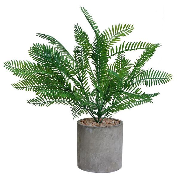 decorative flowers & wreaths party mini potted living room asparagus fern arrangement artificial indoor home decor fake plant pot office orn
decorative flowers & wreaths party mini potted living room asparagus fern arrangement artificial indoor home decor fake plant pot office orn