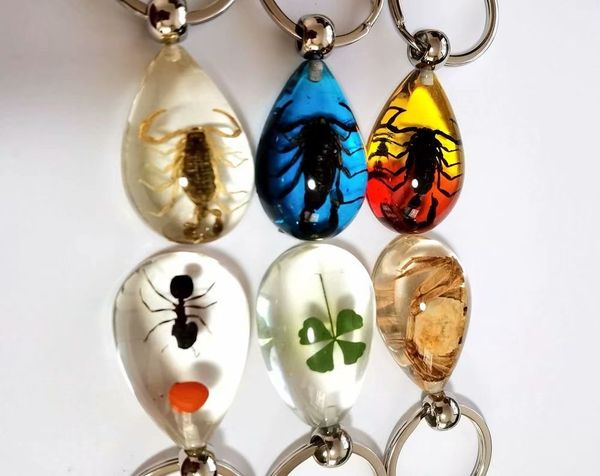 12 pcs fashion keychains real four leaf clover scorpion crab ant keyring, Slivery;golden
12 pcs fashion keychains real four leaf clover scorpion crab ant keyring, Slivery;golden