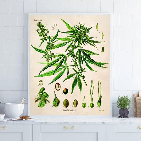 paintings illustration vintage poster botanical print plant canvas painting wall art pictures living room home decor
paintings illustration vintage poster botanical print plant canvas painting wall art pictures living room home decor
