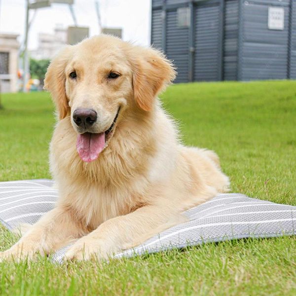 kennels & pens summer cooling mat for pet large ice silk cool bed dog cat breathable blanket cushion puppy kitten home sofa floor outdoor ma
kennels & pens summer cooling mat for pet large ice silk cool bed dog cat breathable blanket cushion puppy kitten home sofa floor outdoor ma