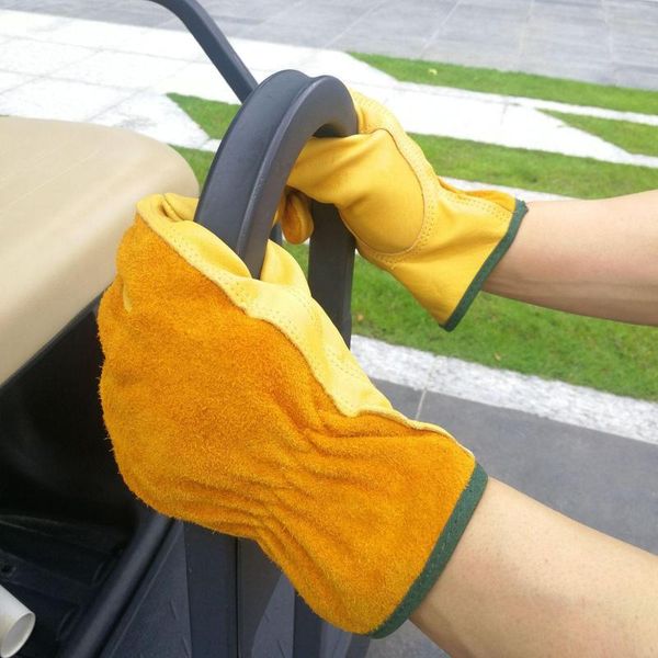 disposable gloves comfortable garden working stab resistant for kitchen material handling industrial warehouse
disposable gloves comfortable garden working stab resistant for kitchen material handling industrial warehouse