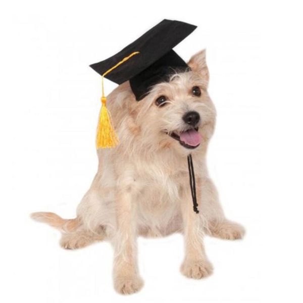 puppy dog dr. hat decoration custom graduation cap degree headgear for diy pet creative party accessories (black) apparel
puppy dog dr. hat decoration custom graduation cap degree headgear for diy pet creative party accessories (black) apparel