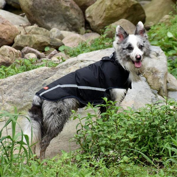 dog apparel factory direct sale raincoat selling pet spring and autumn water-repellent outdoor warm clothing
dog apparel factory direct sale raincoat selling pet spring and autumn water-repellent outdoor warm clothing