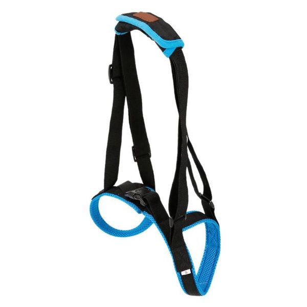 adjustable dog lift harness for back legs pet support sling help weak stand up dogs aid assist tool #5 apparel
