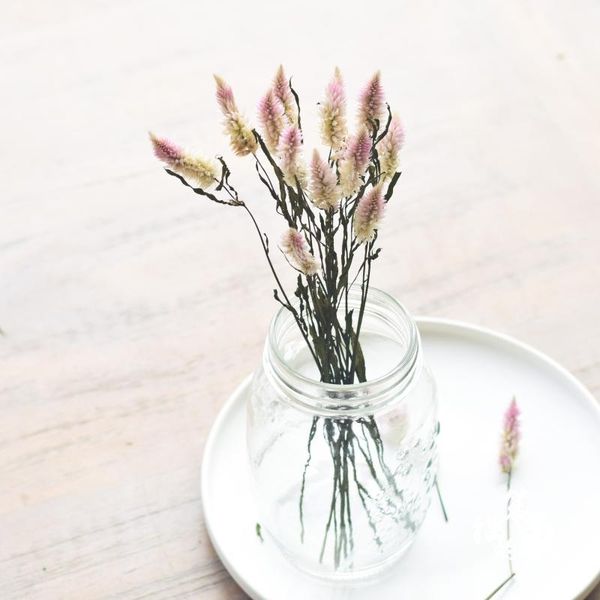 natural dried pink ombre flowers christmas valentine's day gift wedding decor home flower bouquet no vase decorative & wreaths
natural dried pink ombre flowers christmas valentine's day gift wedding decor home flower bouquet no vase decorative & wreaths