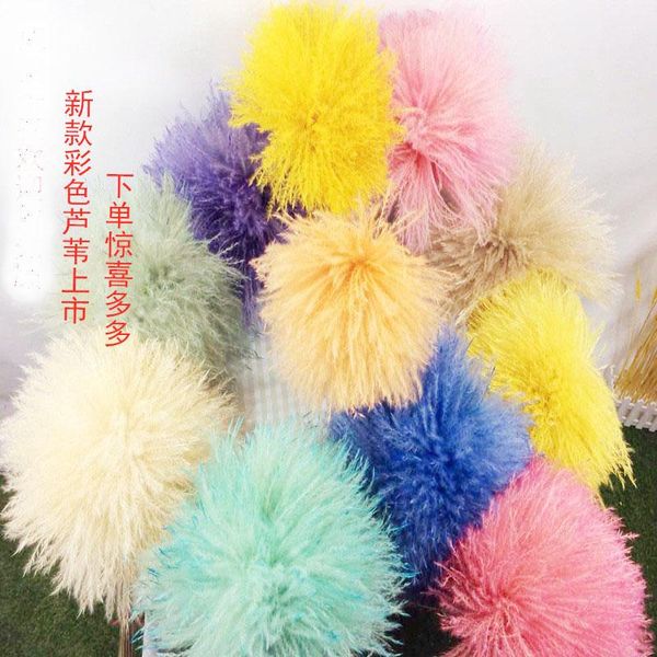 decorative flowers & wreaths wedding flower yellow pampas grass 20pcs natural dry bunch windowcase color phragmites communis artificial plan
decorative flowers & wreaths wedding flower yellow pampas grass 20pcs natural dry bunch windowcase color phragmites communis artificial plan