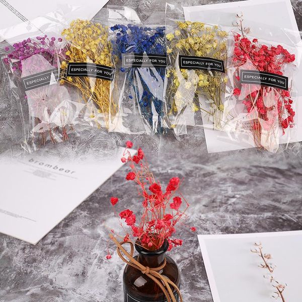 micro landscape accessories natural dried flowers gypsophila garden home decoration wall diy flower material decorative & wreaths
micro landscape accessories natural dried flowers gypsophila garden home decoration wall diy flower material decorative & wreaths