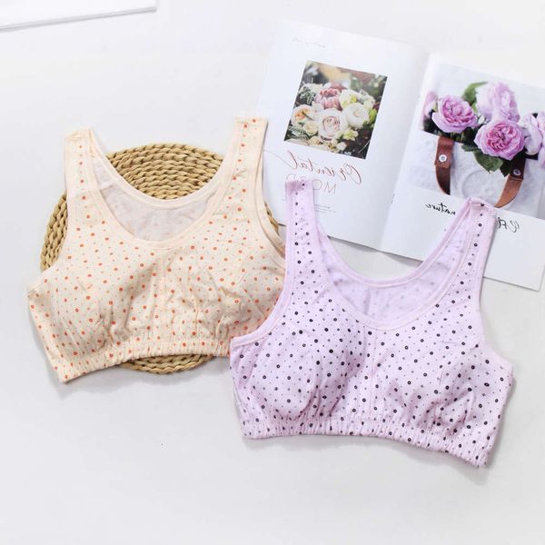 lingerie girl underwear female aunt pure cotton vest style spring autumn winter for middle-aged and old people large size rimless mother bra, Black;pink
lingerie girl underwear female aunt pure cotton vest style spring autumn winter for middle-aged and old people large size rimless mother bra, Black;pink