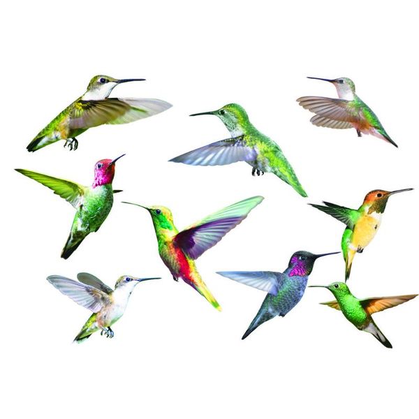 window stickers wall anti-collision bird butterfly home living room bedroom decorations
window stickers wall anti-collision bird butterfly home living room bedroom decorations