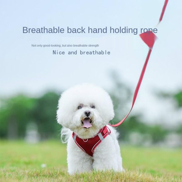 vest-style pet leash breathable reflective chest strap teddy pomeranian 1.5m anti-strike rope chain small medium-sized dogs dog collars & le
vest-style pet leash breathable reflective chest strap teddy pomeranian 1.5m anti-strike rope chain small medium-sized dogs dog collars & le