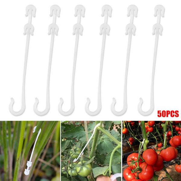 pcs agricultural ear hook farming tomatoes greenhouse clamp fruit vegetable fix yg other garden supplies
pcs agricultural ear hook farming tomatoes greenhouse clamp fruit vegetable fix yg other garden supplies