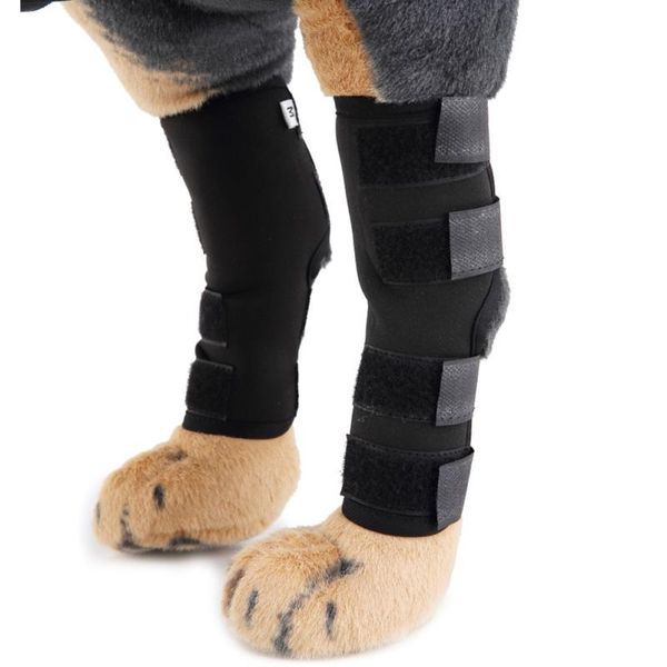 dog apparel knee brace for dogs canine rear leg hock joint protection bandage wrap wounds heals prevents injuries sprains bands
dog apparel knee brace for dogs canine rear leg hock joint protection bandage wrap wounds heals prevents injuries sprains bands