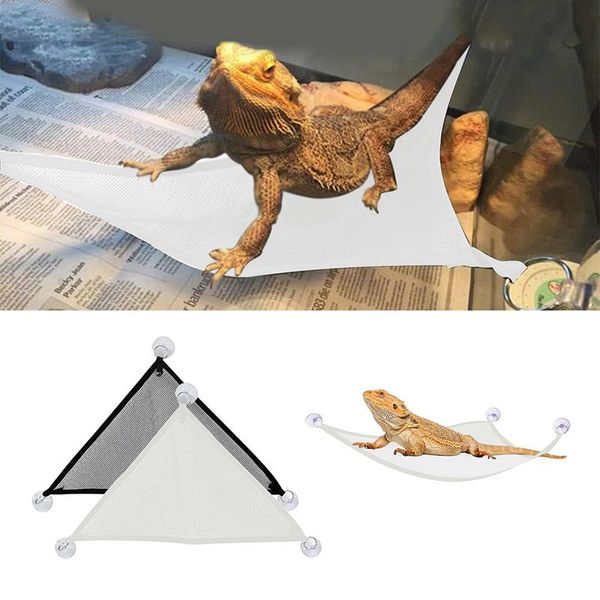small animal supplies reptile mesh hammock with powerful suction cups breathable durable long lasting easy to clean for pet reptiles andf889
small animal supplies reptile mesh hammock with powerful suction cups breathable durable long lasting easy to clean for pet reptiles andf889