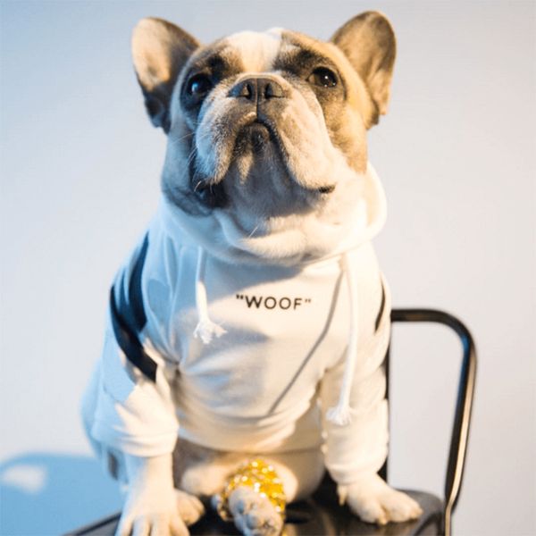 fashion cotton french budog striped hoodies pet dog cothes for sma dogs cothing appare chihuahua pug costume pc1062
fashion cotton french budog striped hoodies pet dog cothes for sma dogs cothing appare chihuahua pug costume pc1062