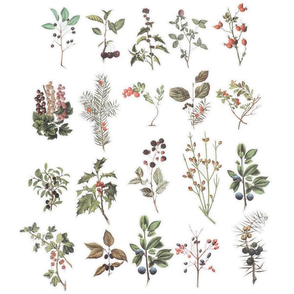 gift wrap 120pcs diy stickers paper plants flower leaf tree green planner diary decorative decals for manicuring nail art a50
gift wrap 120pcs diy stickers paper plants flower leaf tree green planner diary decorative decals for manicuring nail art a50
