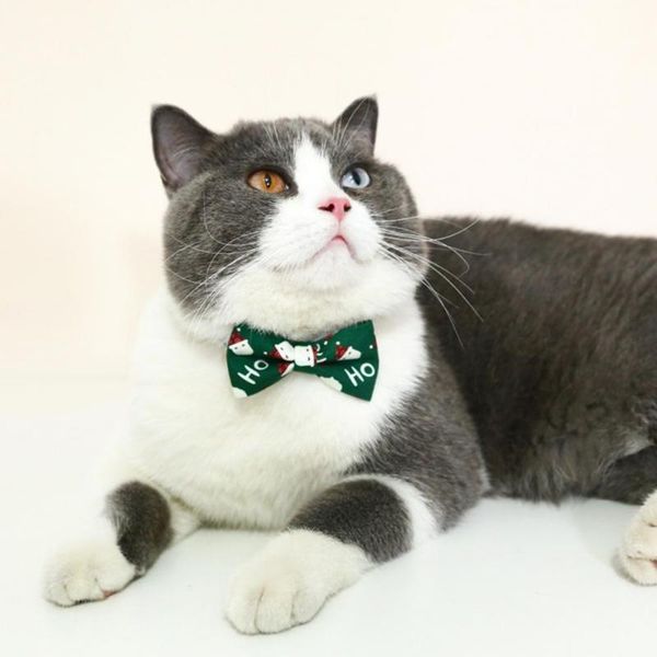 cat collars & leads adjustable skin friendly fashion kitten puppy bow collar pet product
cat collars & leads adjustable skin friendly fashion kitten puppy bow collar pet product