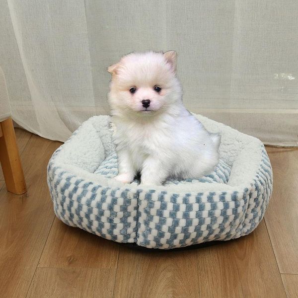kennels & pens hexagonal pet dog bed warming cachorro house soft lounger nest baskets fall winter plush kennel for cat puppy supplies
kennels & pens hexagonal pet dog bed warming cachorro house soft lounger nest baskets fall winter plush kennel for cat puppy supplies