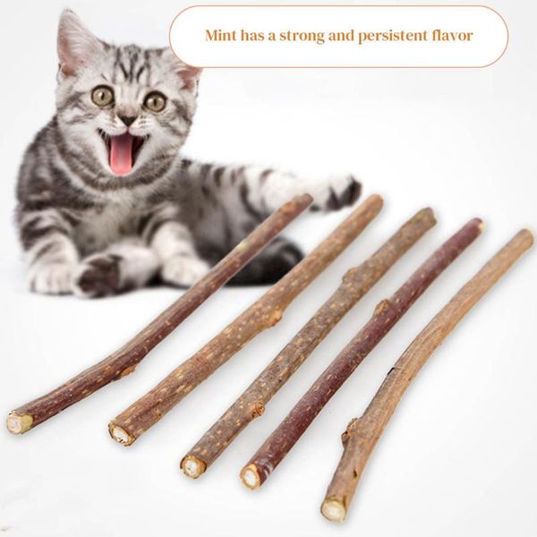 cat toys 10pcs/20pcs pet teething stick toothpaste wooden rod teeth cleaning natural wood supplies
cat toys 10pcs/20pcs pet teething stick toothpaste wooden rod teeth cleaning natural wood supplies