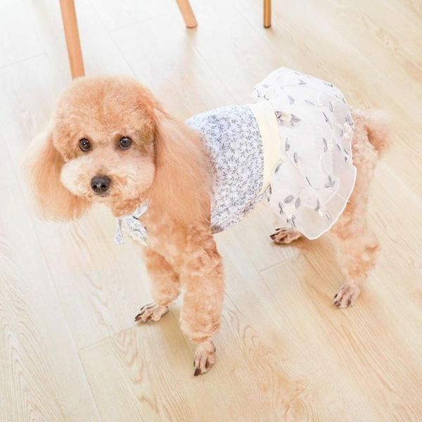 cat costumes summer dog dress pet wedding dresses for chihuahua pug yorkie clothing puppy products clothes small dogs
cat costumes summer dog dress pet wedding dresses for chihuahua pug yorkie clothing puppy products clothes small dogs
