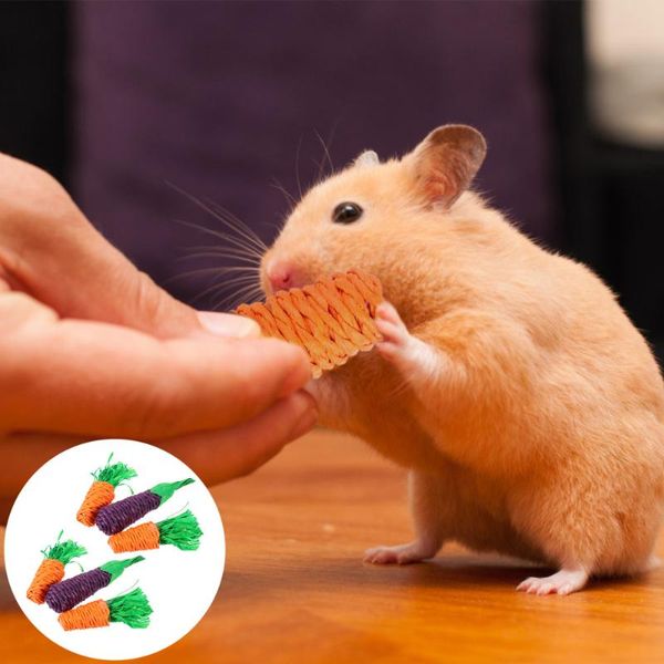 small animal supplies 6 pcs pet chew for hamster parrot bird teeth grinding
small animal supplies 6 pcs pet chew for hamster parrot bird teeth grinding