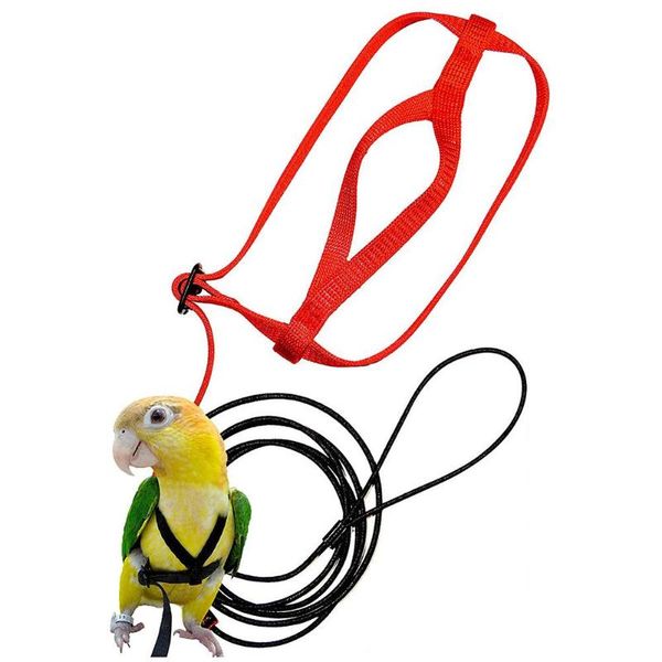 other bird supplies parrot harness and leash adjustable parrots anti-bite training rope outdoor flying for birds
other bird supplies parrot harness and leash adjustable parrots anti-bite training rope outdoor flying for birds