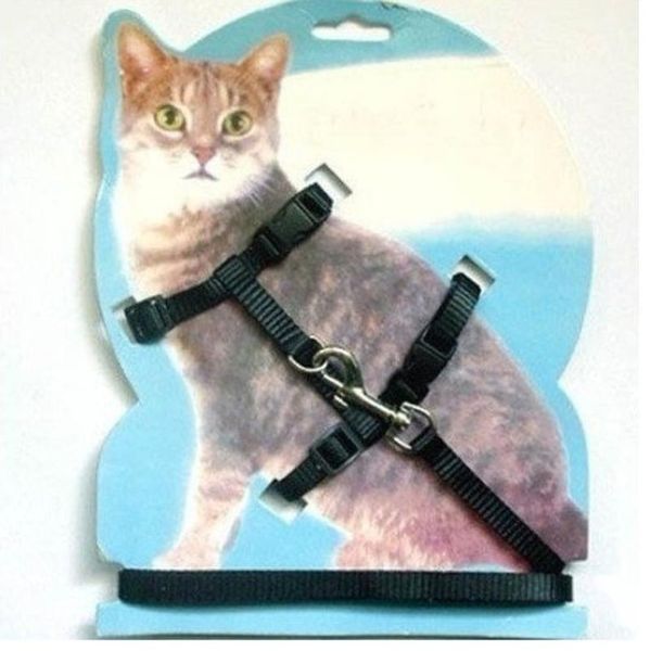 nylon pet cat kitten adjustable harness lead leash collar belt safety rope for animals dog traction collars & leads
nylon pet cat kitten adjustable harness lead leash collar belt safety rope for animals dog traction collars & leads