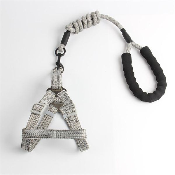 pet products traction rope dog chest strap small and medium round back supplies wholesale 120cm collars & leashes
pet products traction rope dog chest strap small and medium round back supplies wholesale 120cm collars & leashes