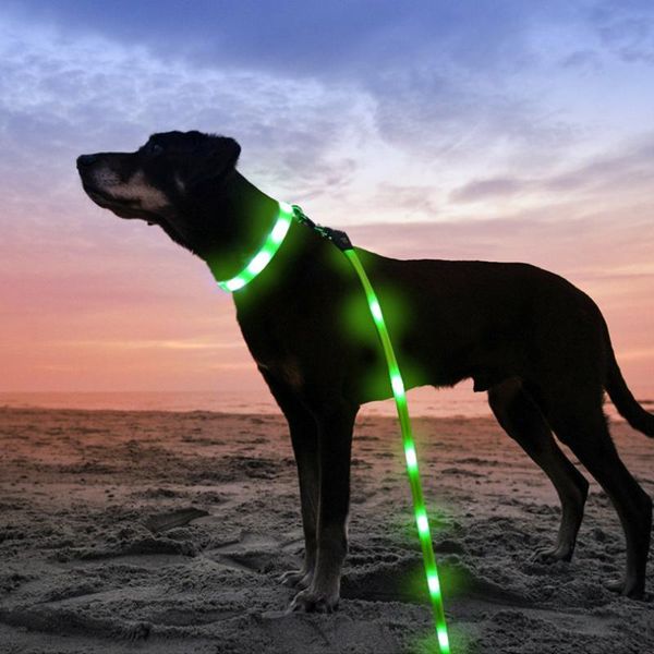 pet luminous traction rope collar usb charging led three-color light dog leash collars & leashes
pet luminous traction rope collar usb charging led three-color light dog leash collars & leashes