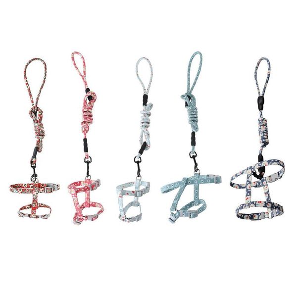 cat collars & leads dog collar harness leash traction rope chest strap pet safe gentle leader come with me kitty bungee drop
cat collars & leads dog collar harness leash traction rope chest strap pet safe gentle leader come with me kitty bungee drop