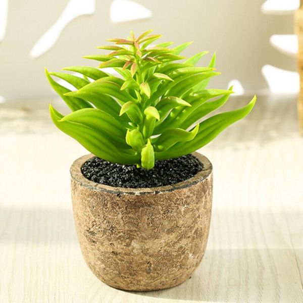 decorative flowers & wreaths 4pcs artificial fake succulent plant in pot mini potted plants home garden decor office bedroom living room cof
decorative flowers & wreaths 4pcs artificial fake succulent plant in pot mini potted plants home garden decor office bedroom living room cof