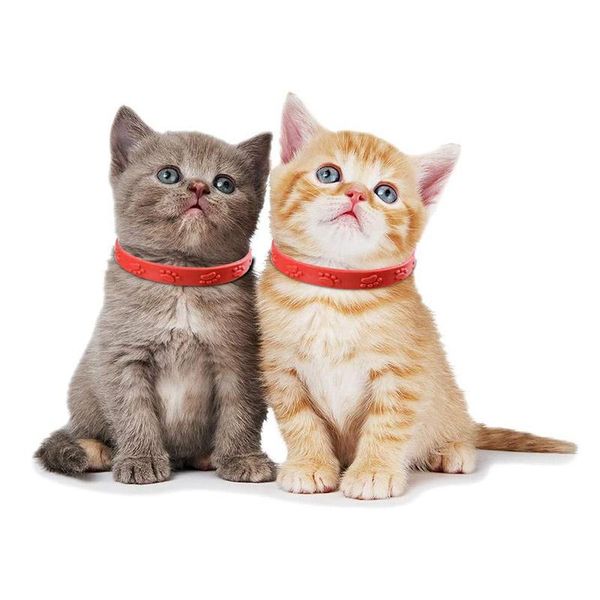 cat collars & leads collar with adjustable removal of flea mite lice mosquito pet supplies dog accessories red color
cat collars & leads collar with adjustable removal of flea mite lice mosquito pet supplies dog accessories red color